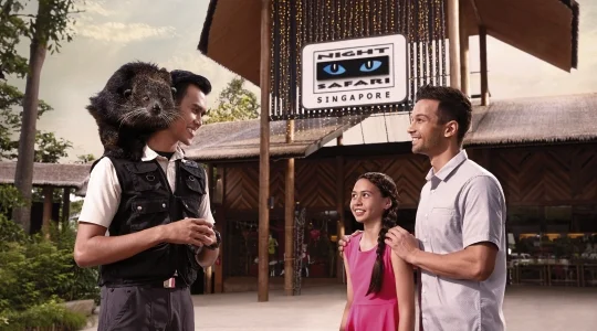 ナイトサファリ